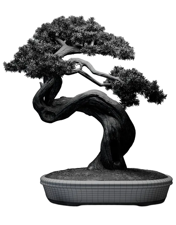 Modelo 3D de bonsái en wireframe